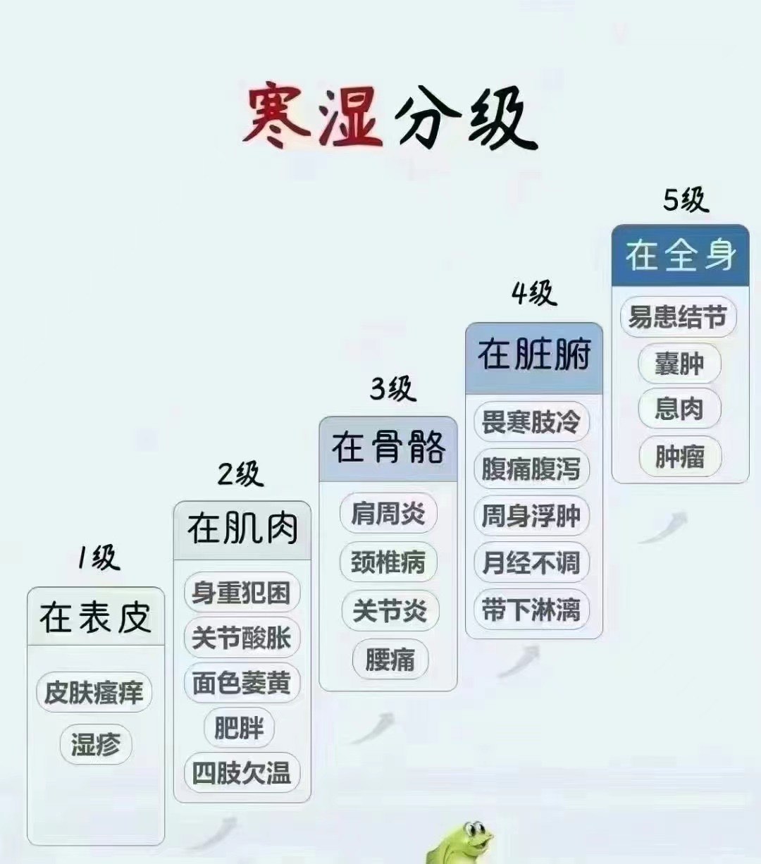 身体寒湿