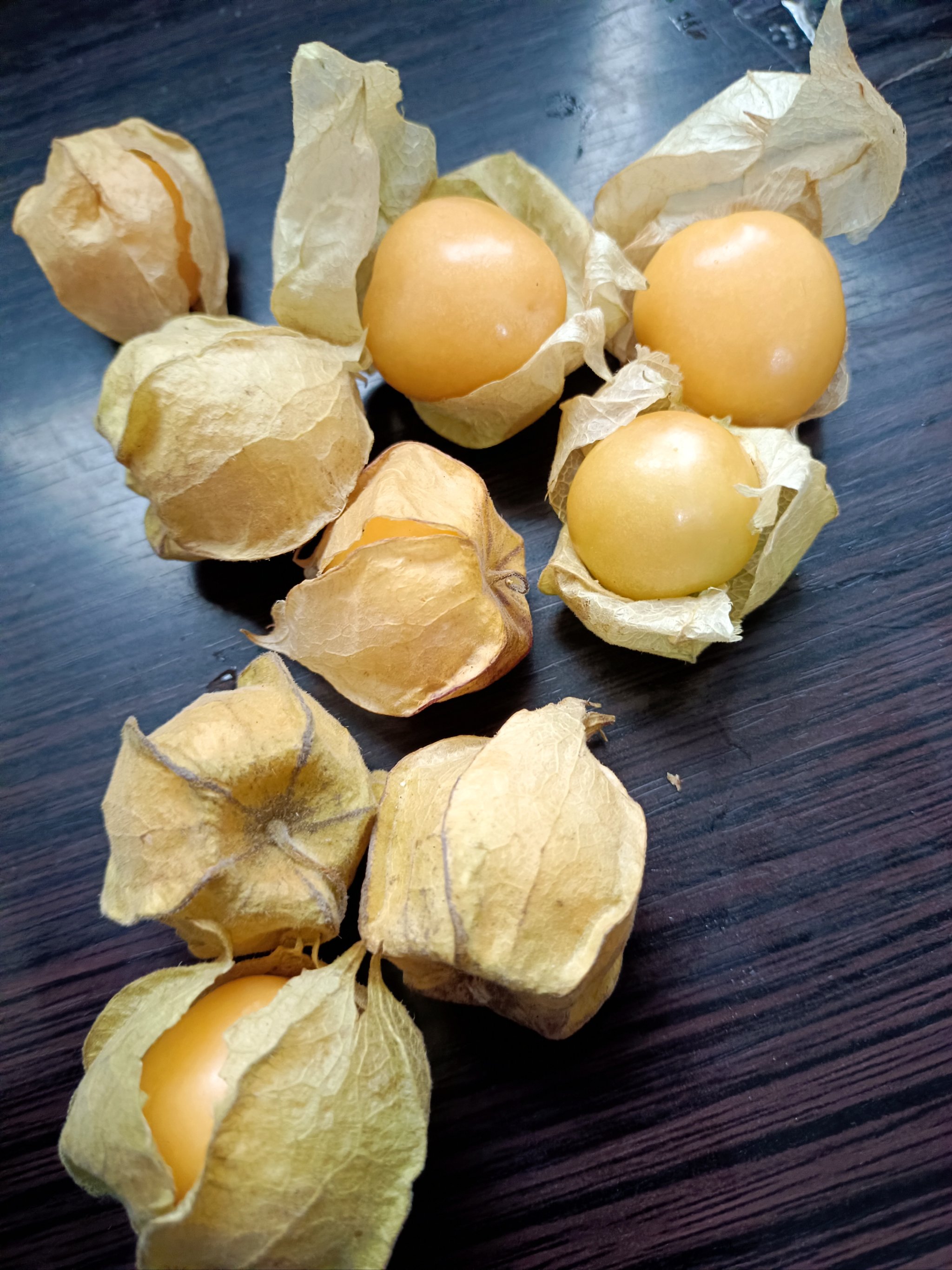 #0元玩转这座城|初尝"姑娘果"菇茑(niǎo)