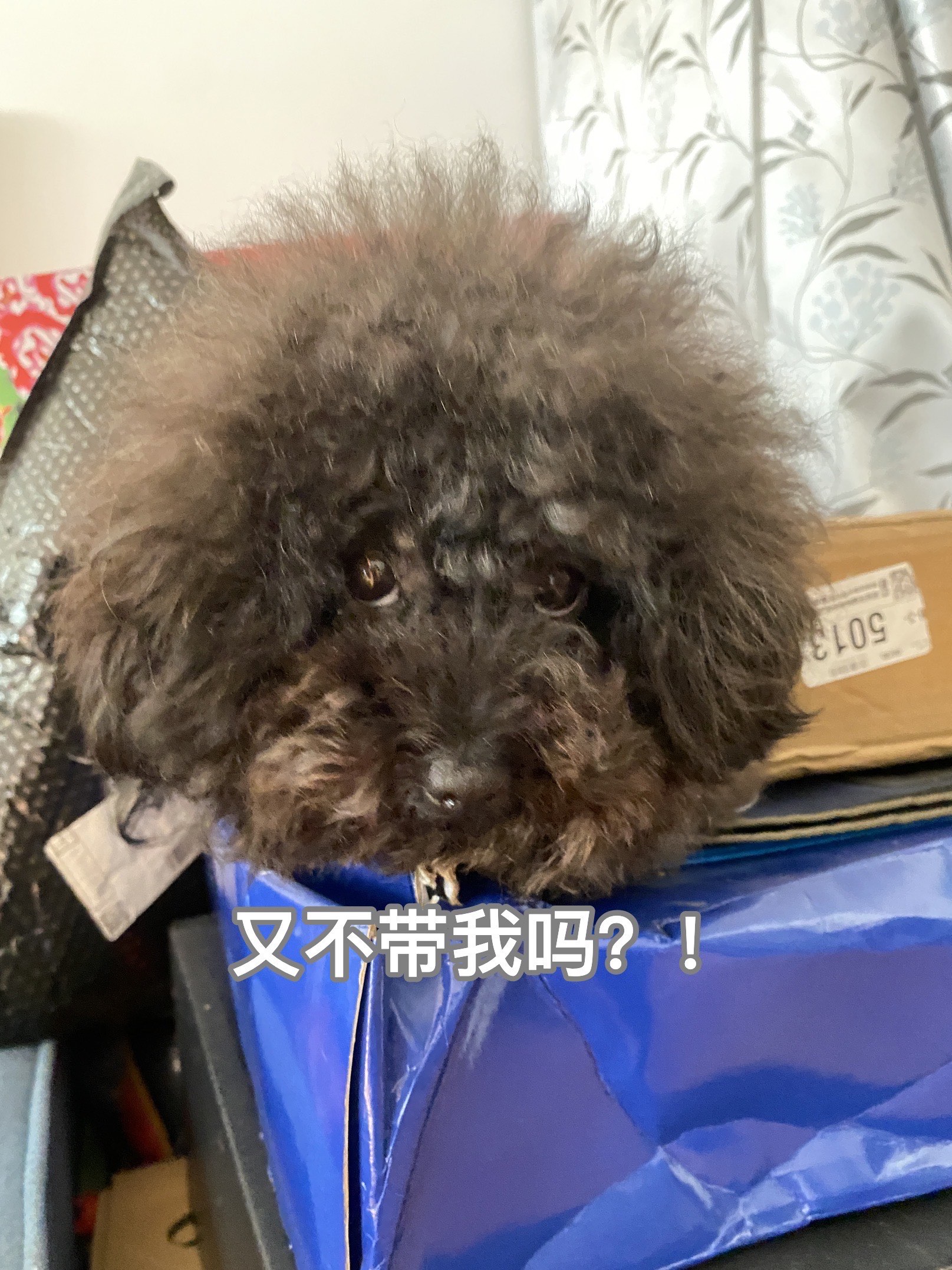 又是眼巴巴看着妈妈出门不带我