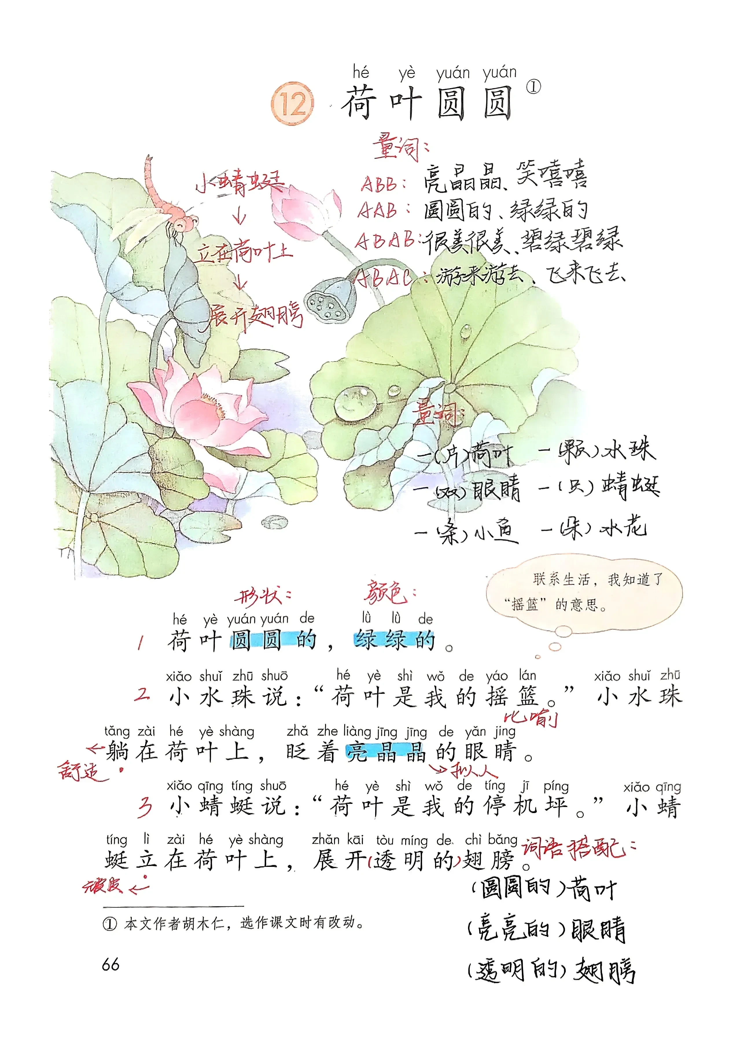 一年级语文下册《荷叶圆圆》的量词和词语搭配