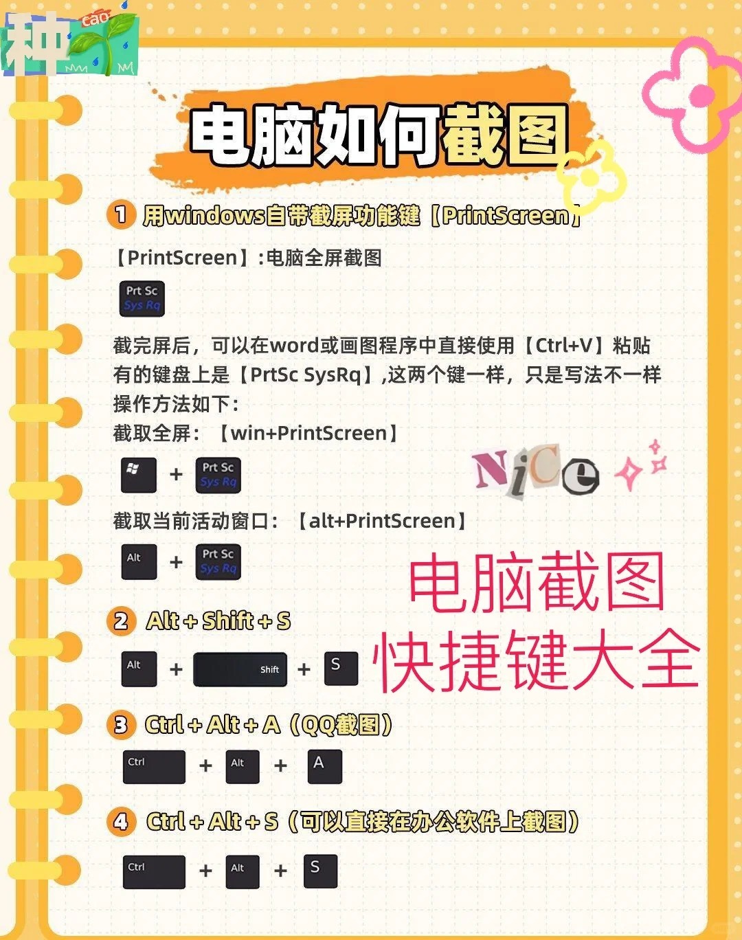 科普：电脑截图快捷键详解