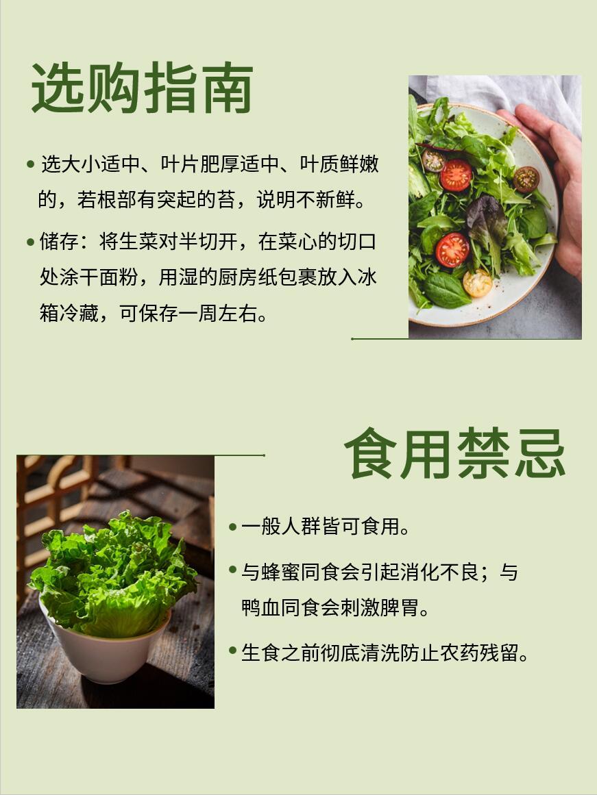 认识超级食物-生菜