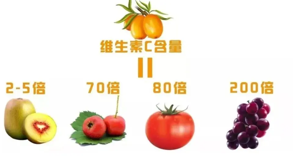 通便的水果第一名，水果界的“肠动力”冠军，你猜到了吗？