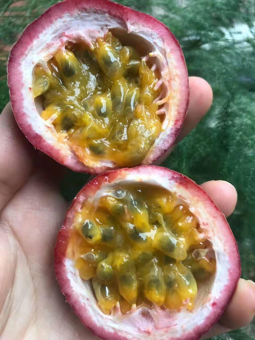 百香果可以储存多久