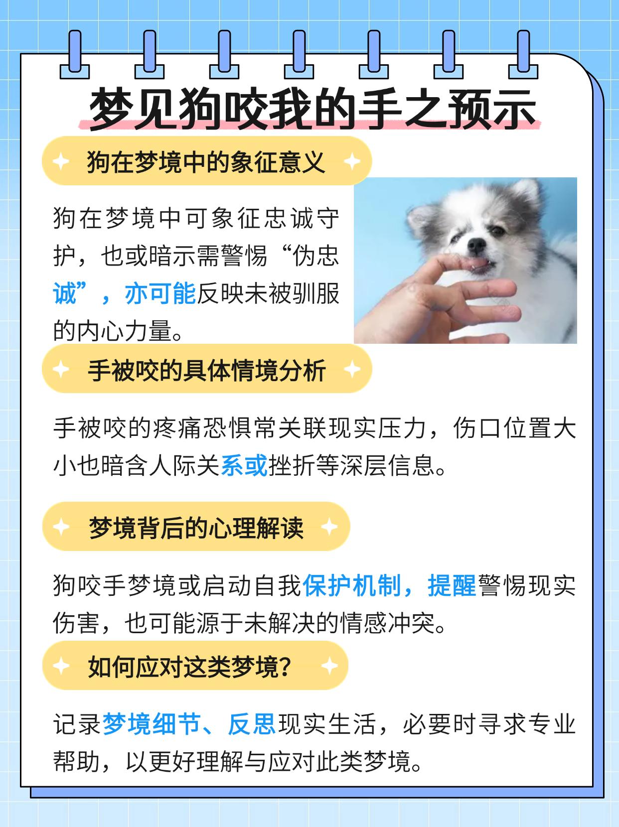 梦境迷踪，解读梦见狗咬自己的手的深层含义