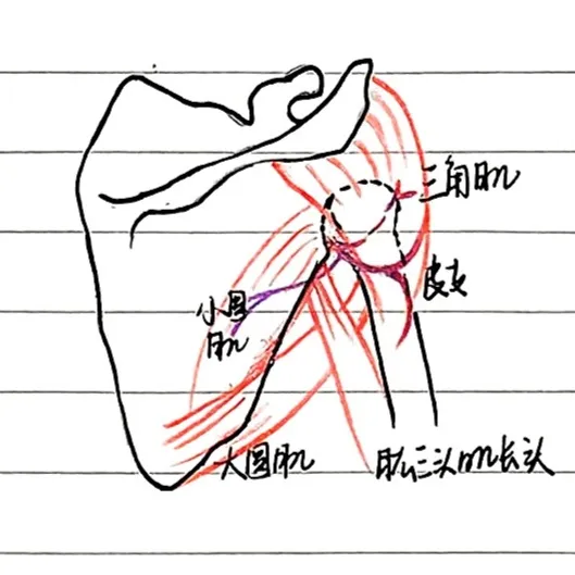 三边孔和四边孔，重点记这两点！