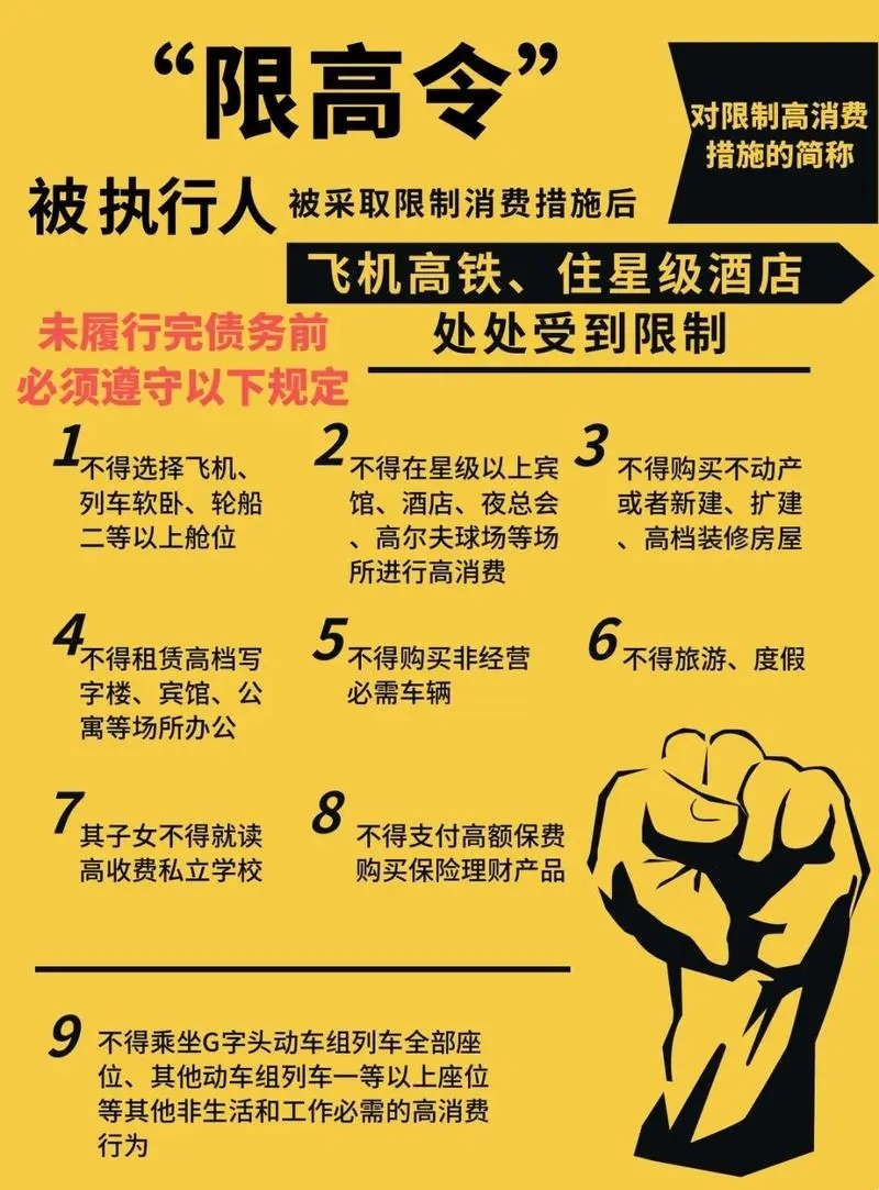 限制高消费购买机票是不是不支持