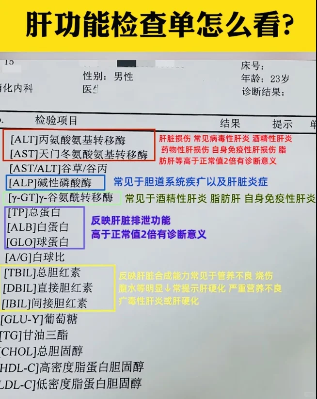 肝功能检查单怎么看？