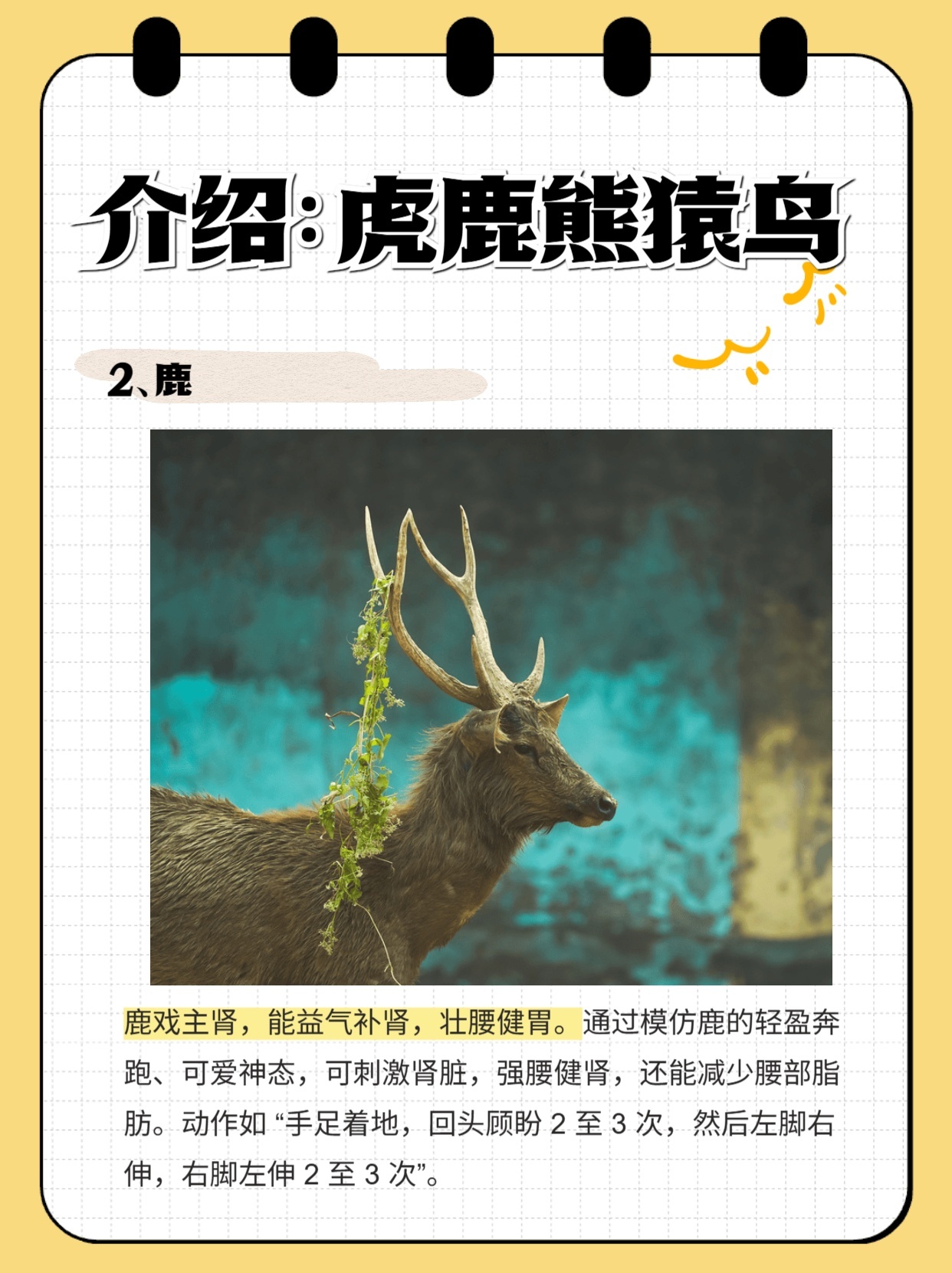 介绍：虎鹿熊猿鸟