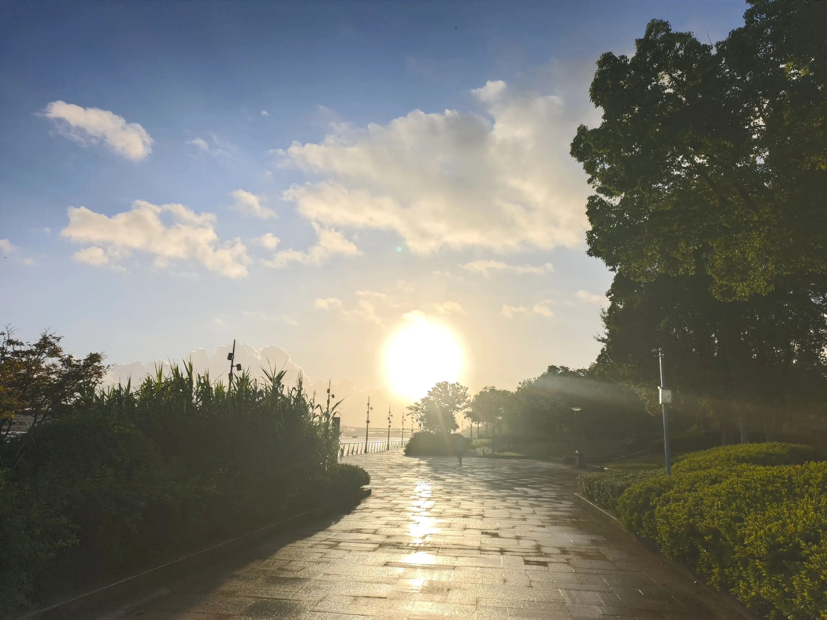 清晨的一缕阳光，带你看日出 ……