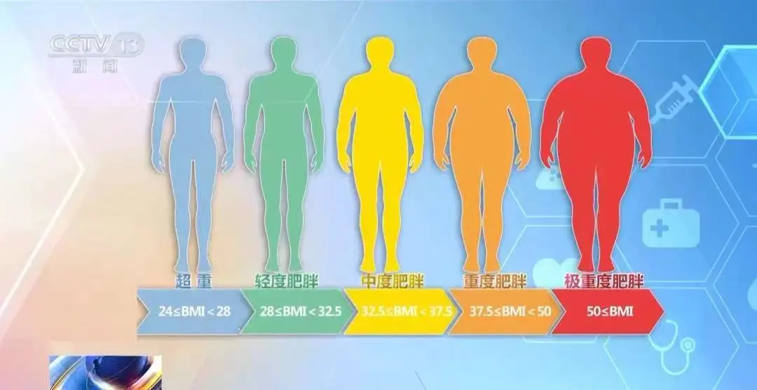 体质指数（bmi）是衡量人体胖瘦程度的标准（图片截图新闻）《成人肥胖食