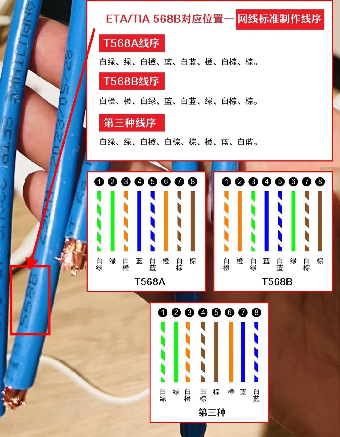网线标准是什么  第1张