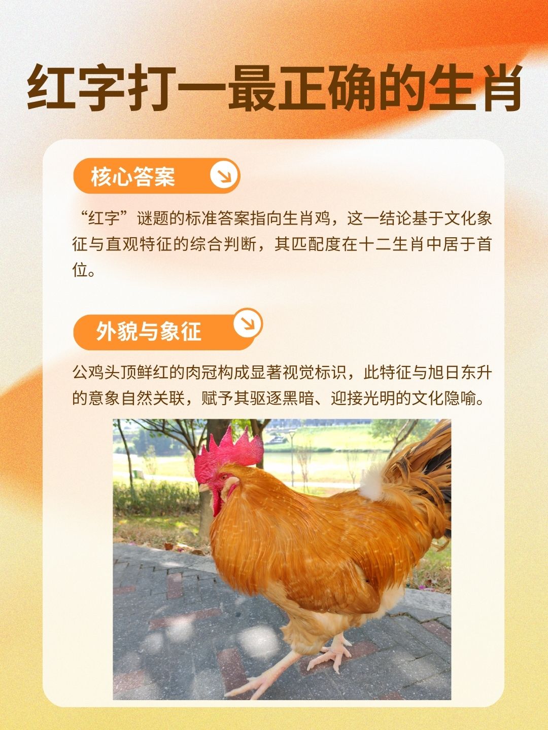 红字打一最正确的生肖
