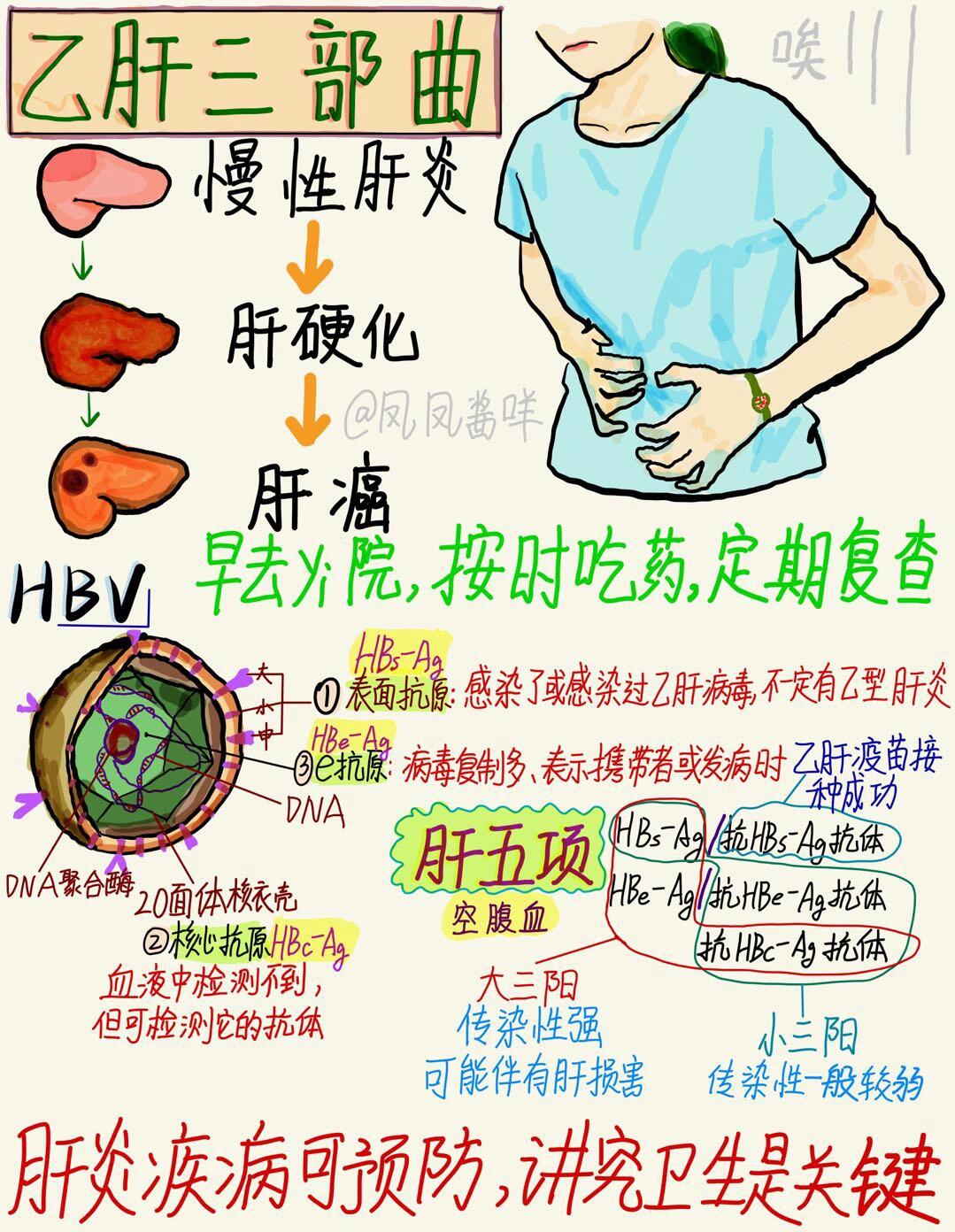 关于乙肝的全面解读与正确认识