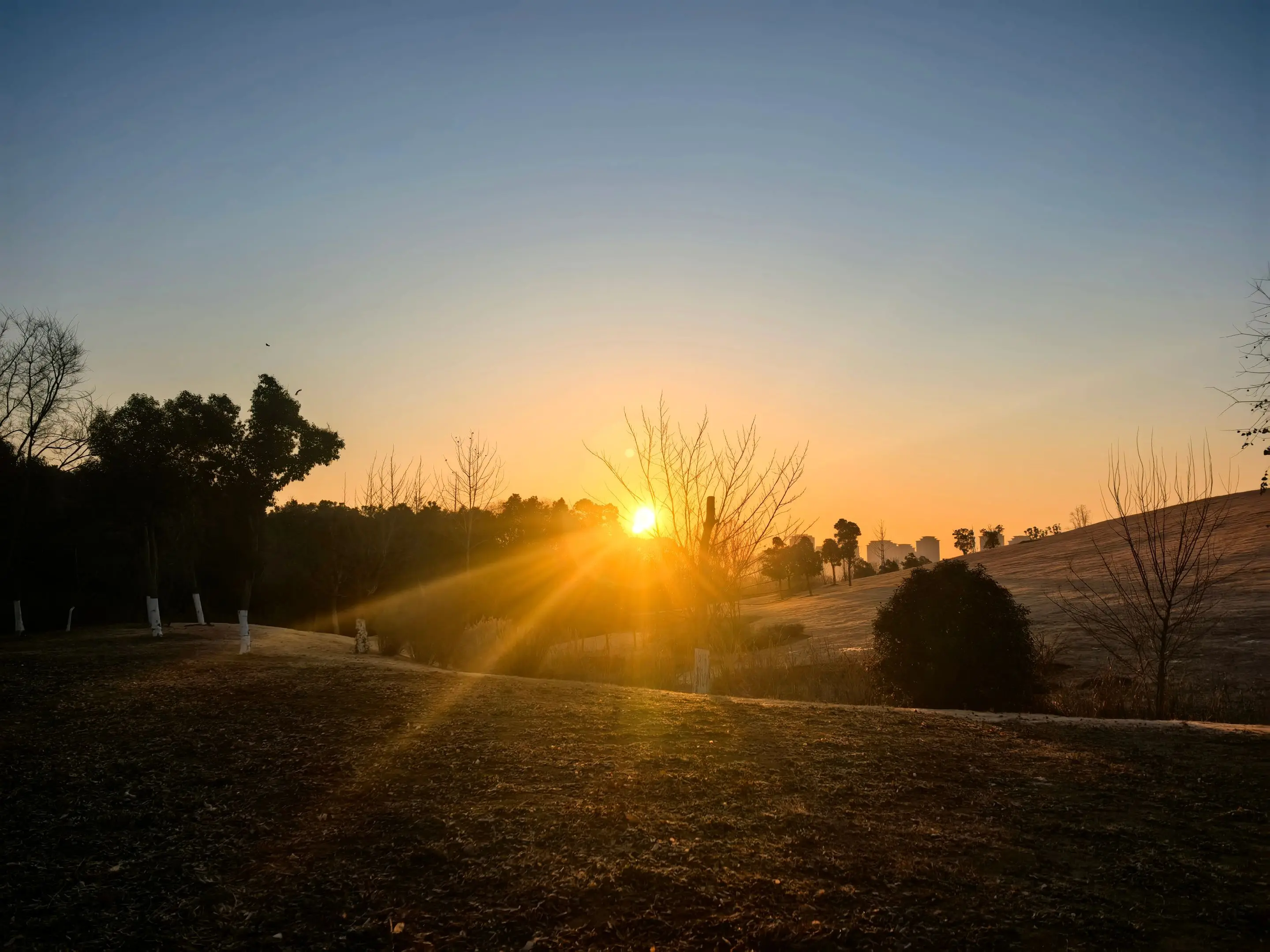 #清晨第一缕阳光