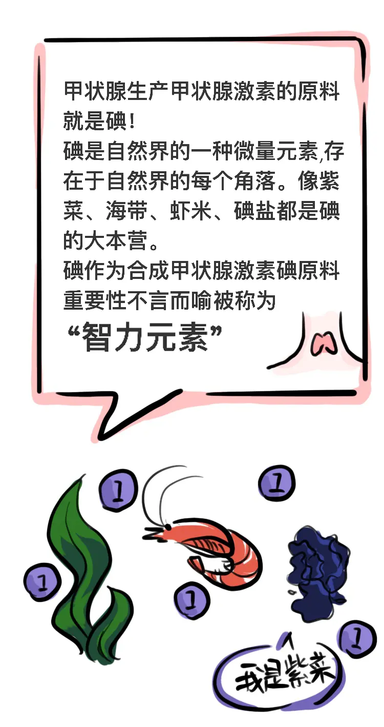 【科普漫画】甲状腺患者怎么吃碘？这次彻底讲明白：