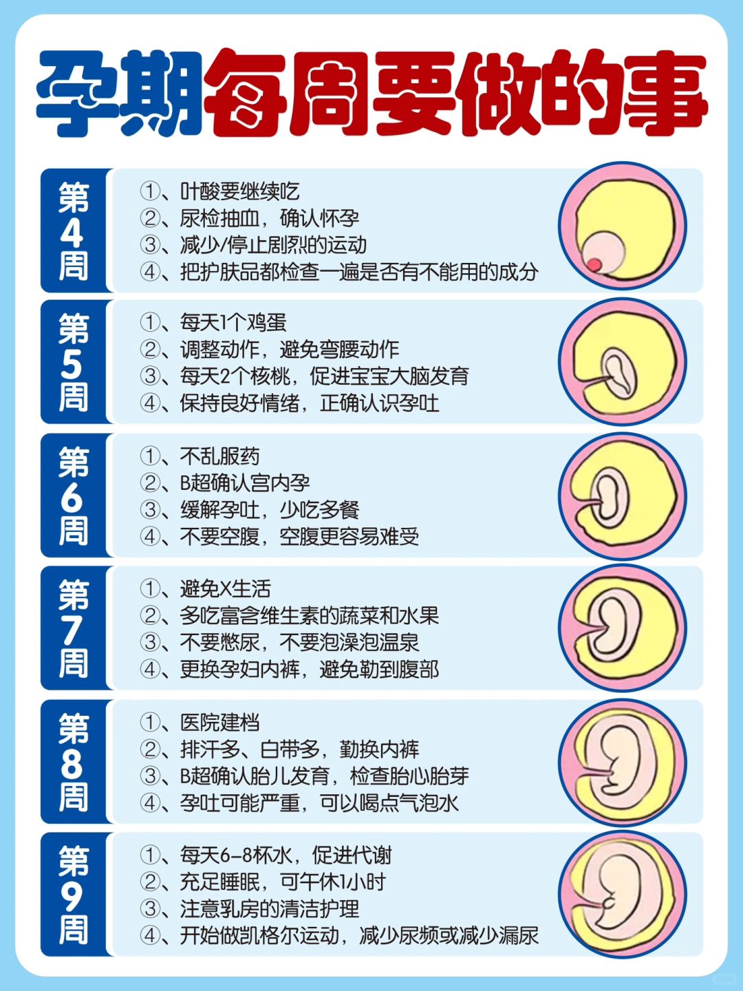 ✅孕期知识❣️每周孕妇饮食和胎儿发育情况～