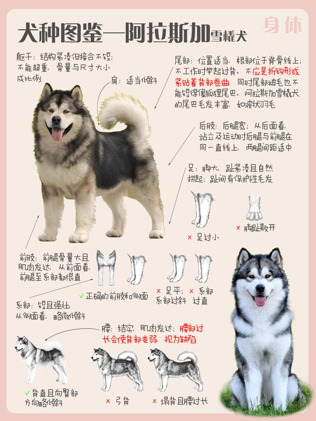 卖了阿拉斯加会怎么样吗