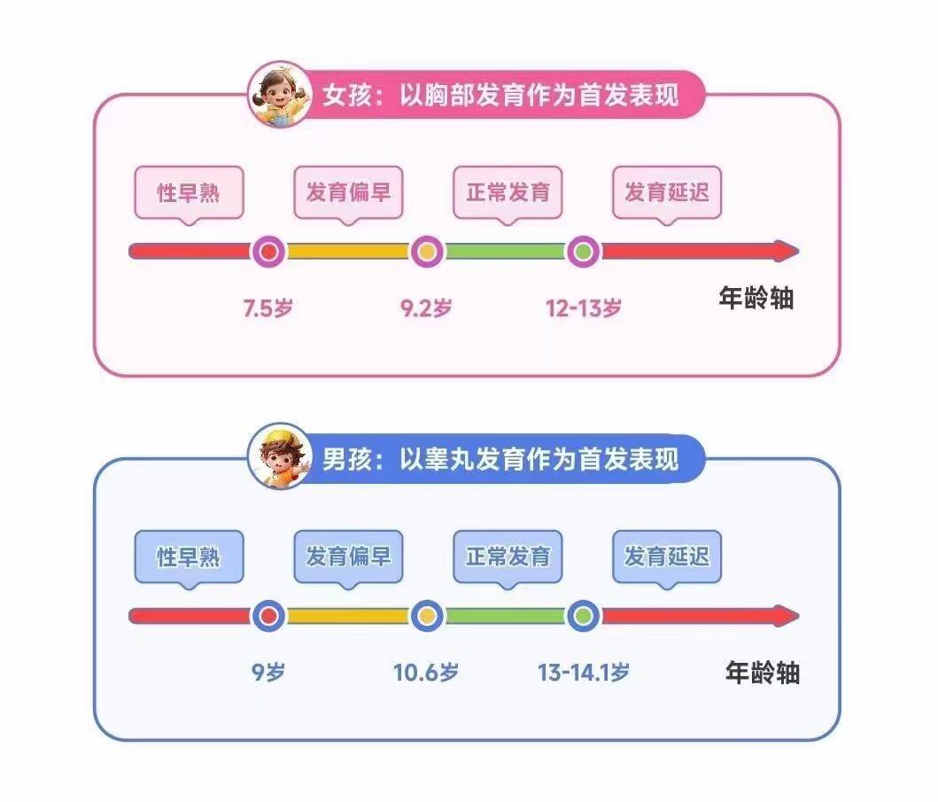 青春期发育顺序全解析