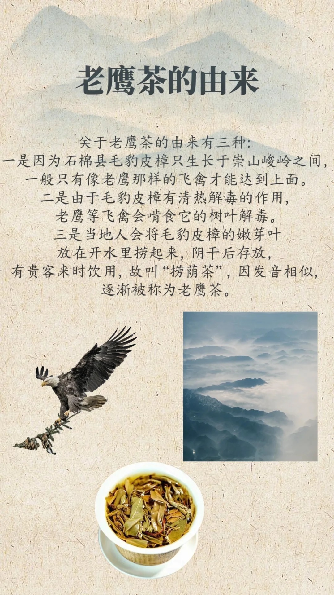 速看：老鹰茶为何被称为老鹰茶？