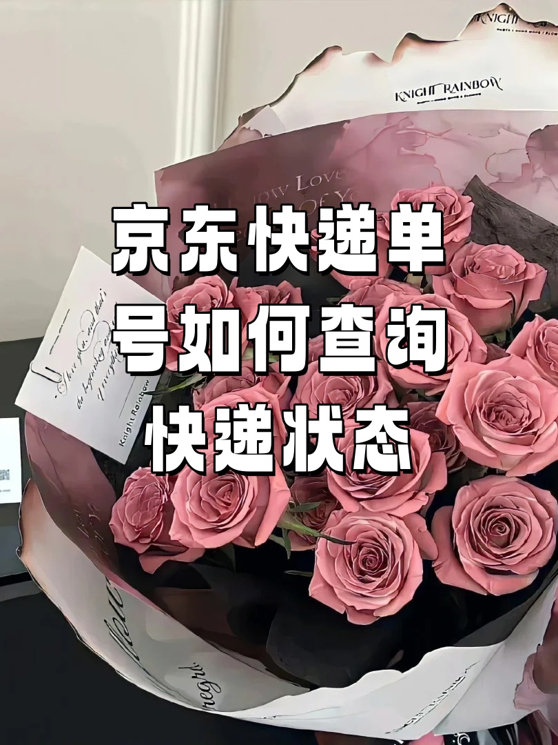 京东快递单号如何查询快递状态