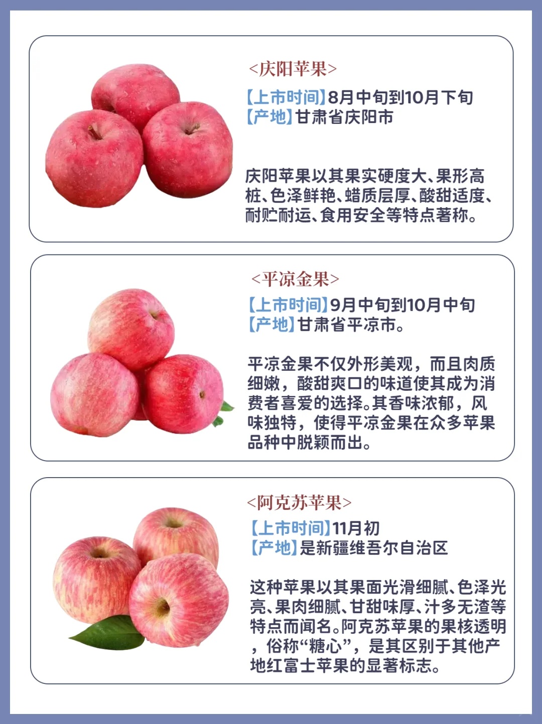 苹果的批发商有哪些