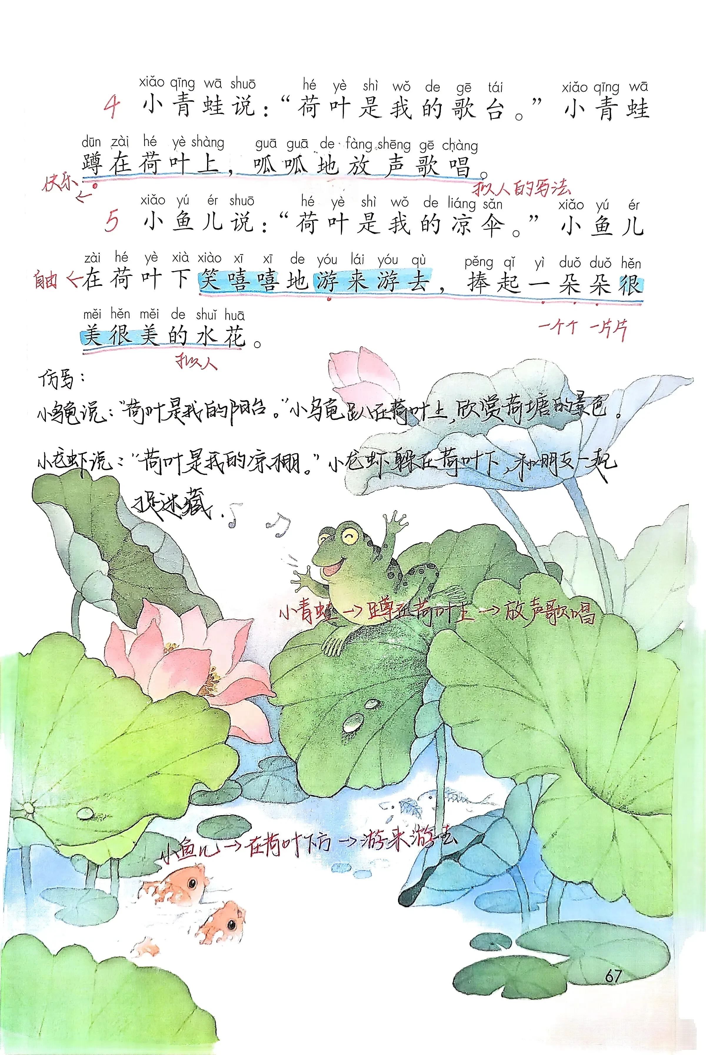 一年级语文下册《荷叶圆圆》的量词和词语搭配
