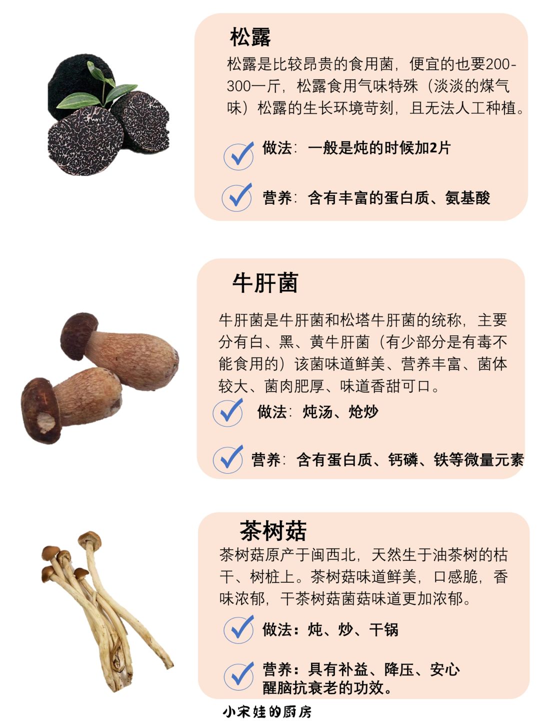 常见菌菇的区别及营养价值