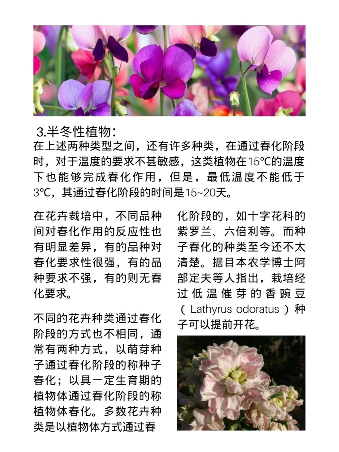 速看！春化作用详细介绍