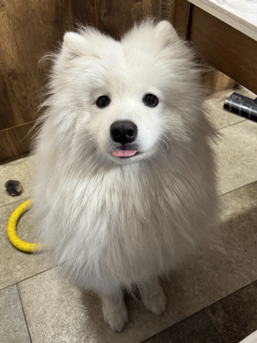呆愣愣
