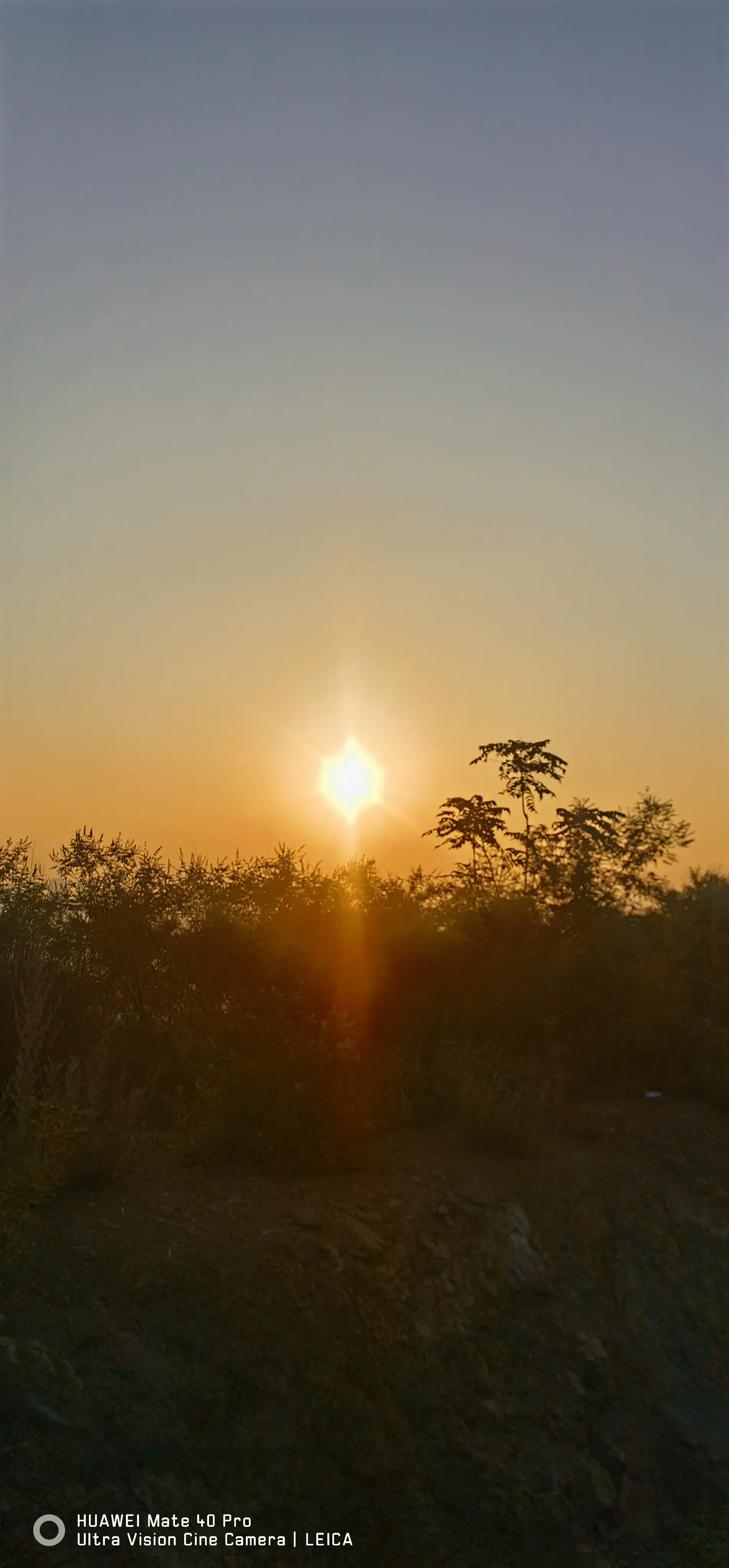 #清晨第一缕阳光