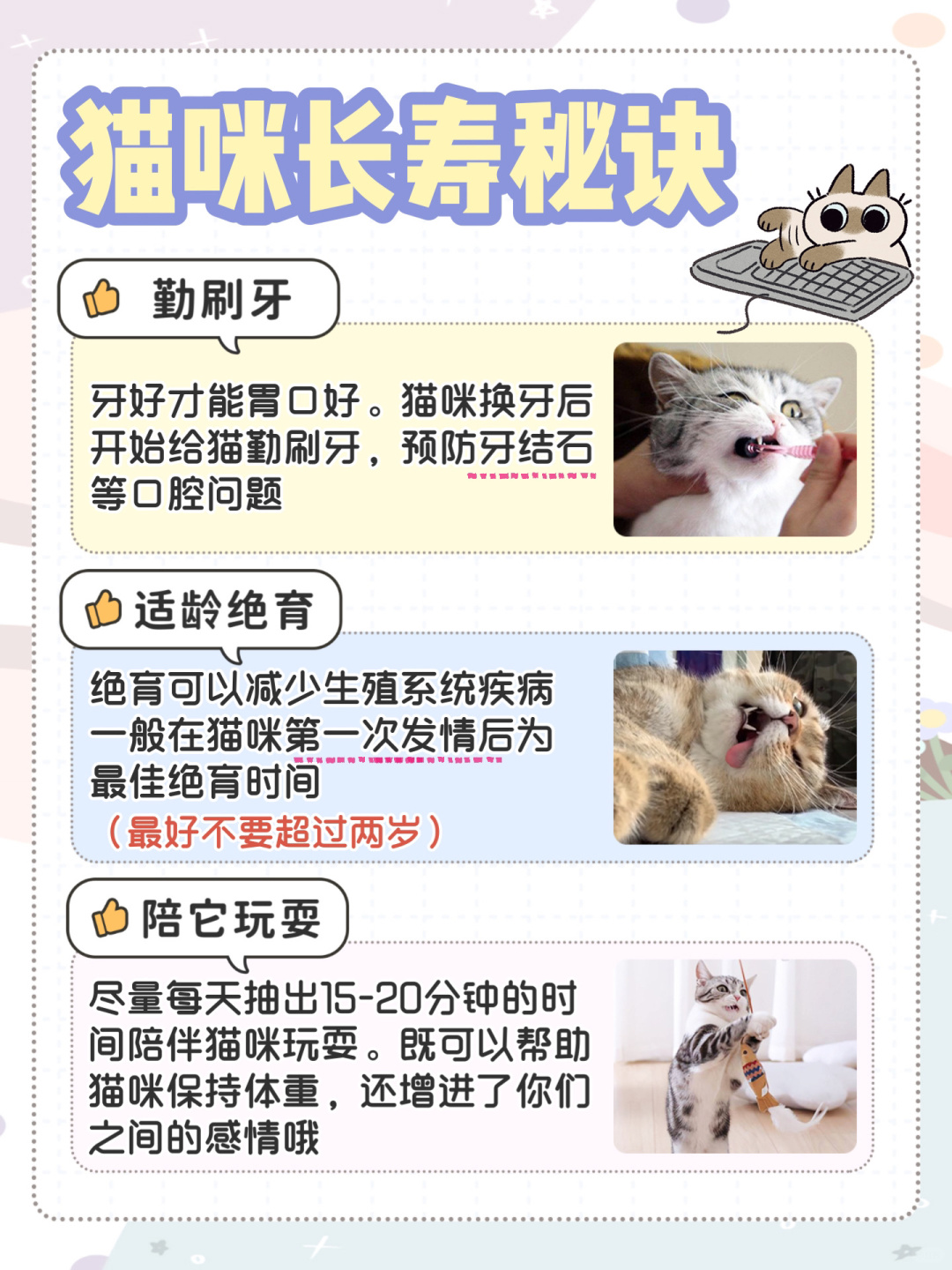 常见猫猫平均寿命如何能让猫咪更长寿