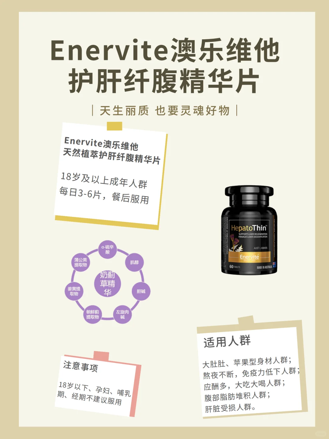 怎么吃护肝片