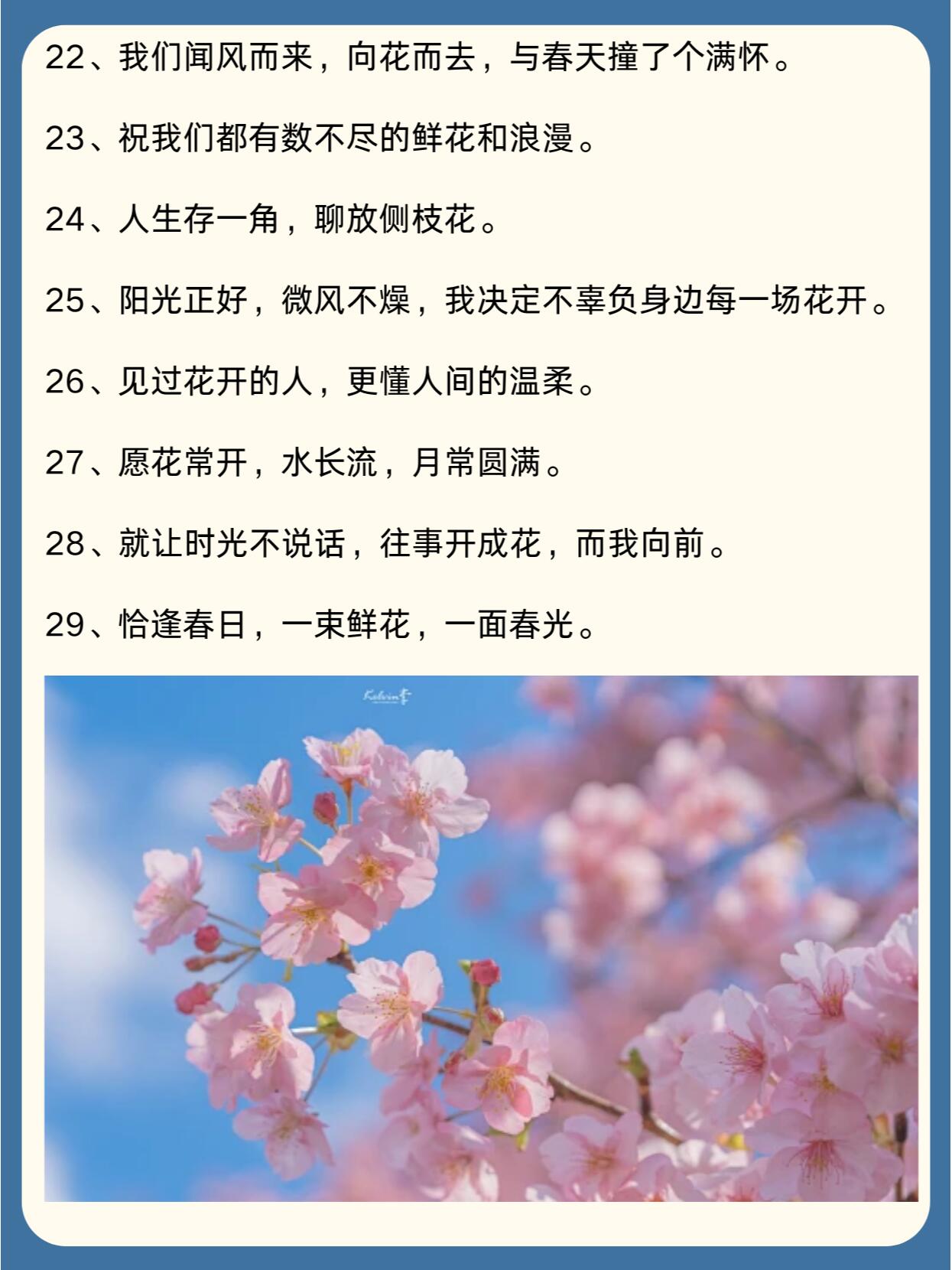 春天赏花朋友圈文案