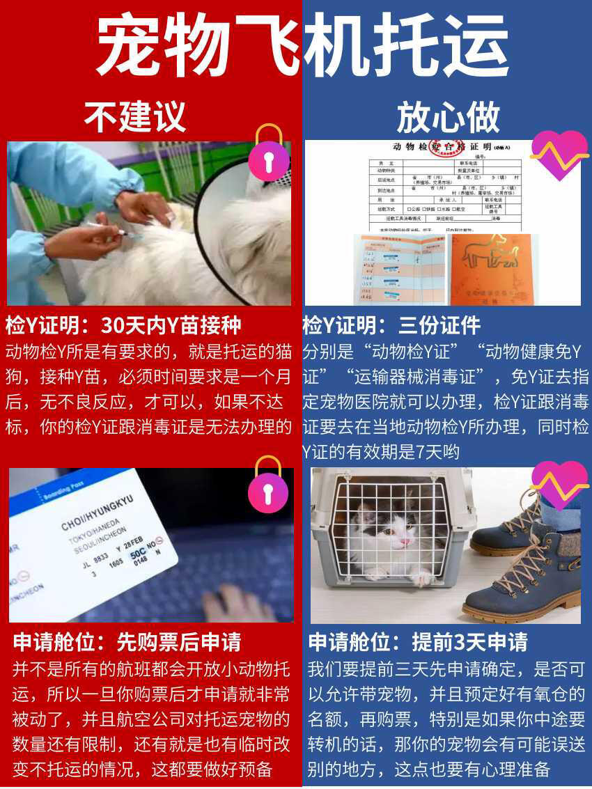 宠物飞机票怎么购买