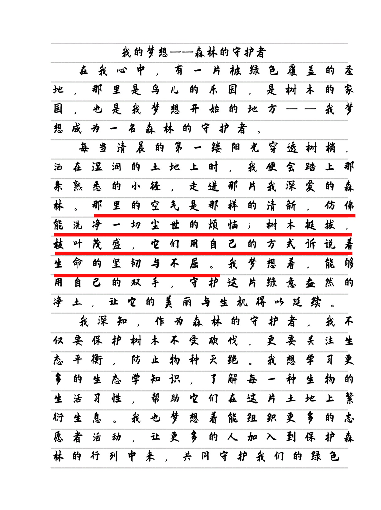 带你了解：四年级小学生的梦想日记