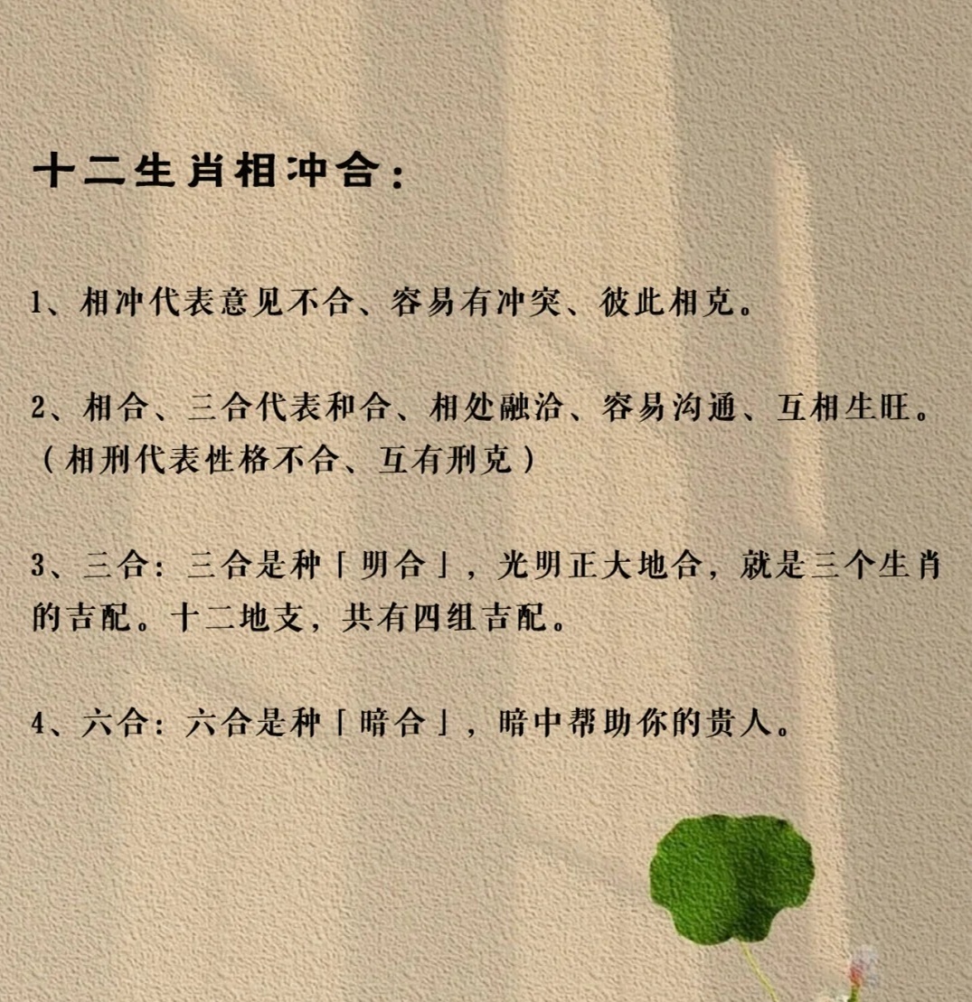 属兔和属蛇相合吗？