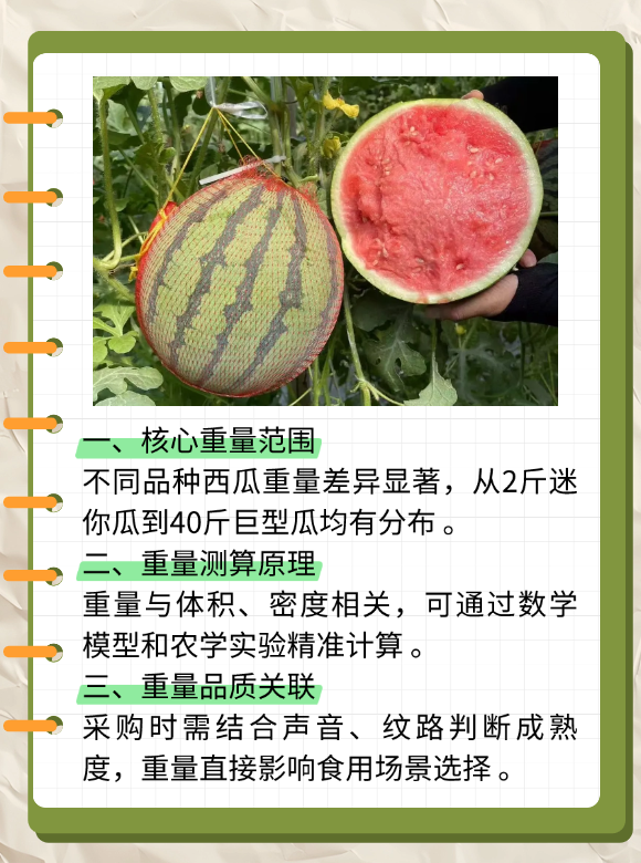 西瓜重量介绍