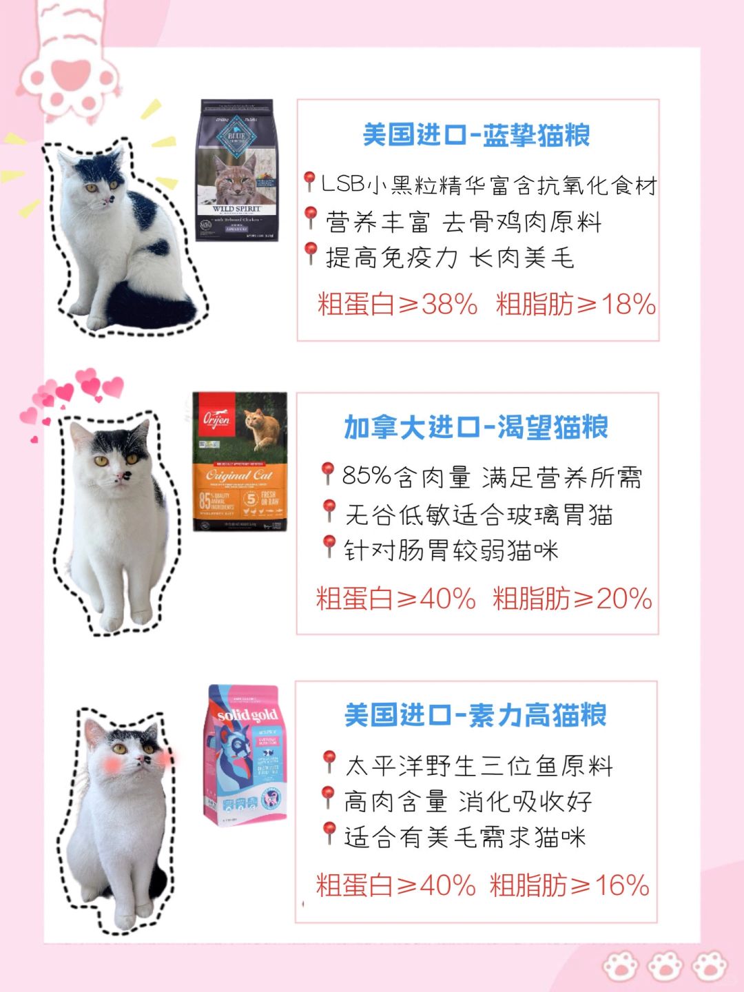在哪里可以买到国外正品猫粮