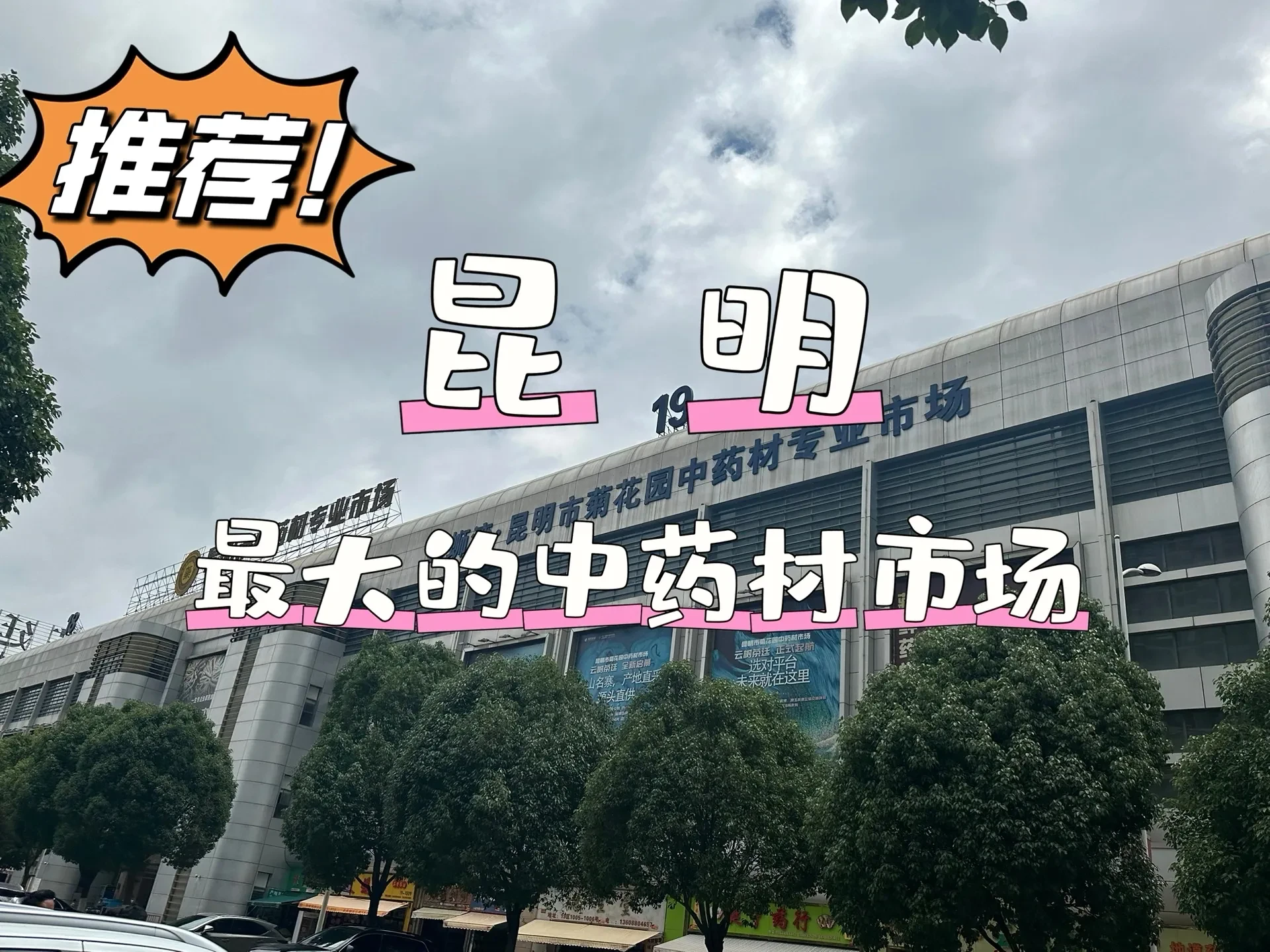 昆明最大的中药材批发市场有几个