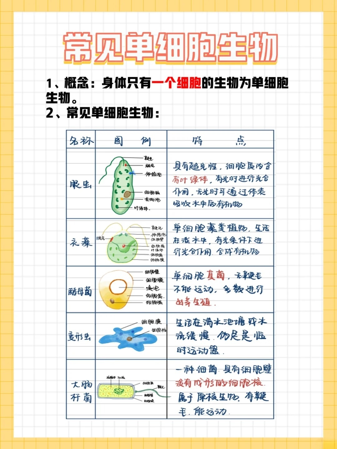 速看：单细胞生物有哪些？