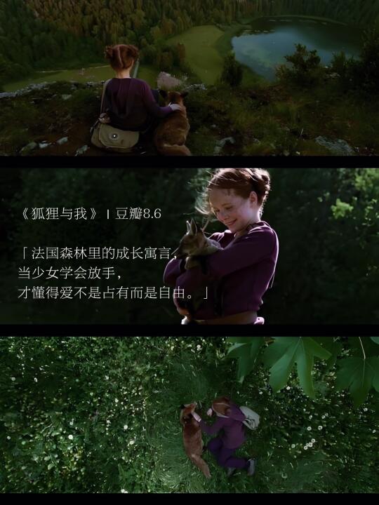 春天的影像诗🎞️｜春日治愈系电影分享
