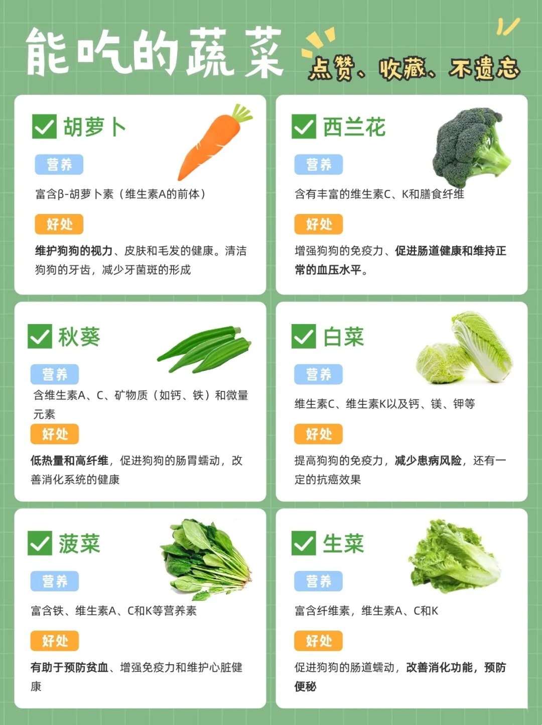 小狗能吃生菜吗