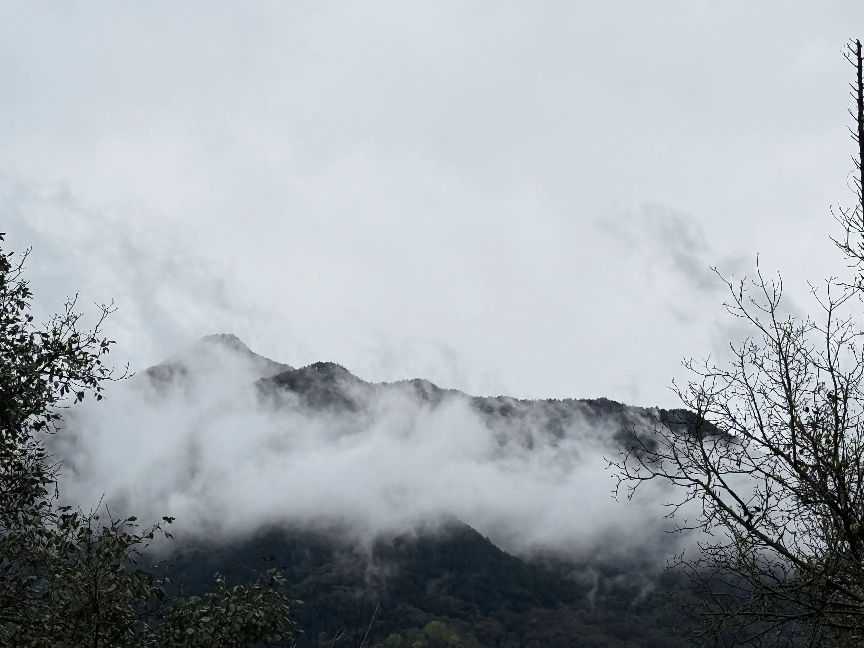 半山烟雨半山睛，几分朦胧几分清。云遮雾绕终何处，丝丝缕缕入人心