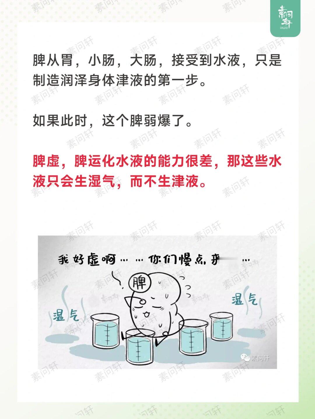 每天必须八杯水❓求求了你只会喝出一身湿气