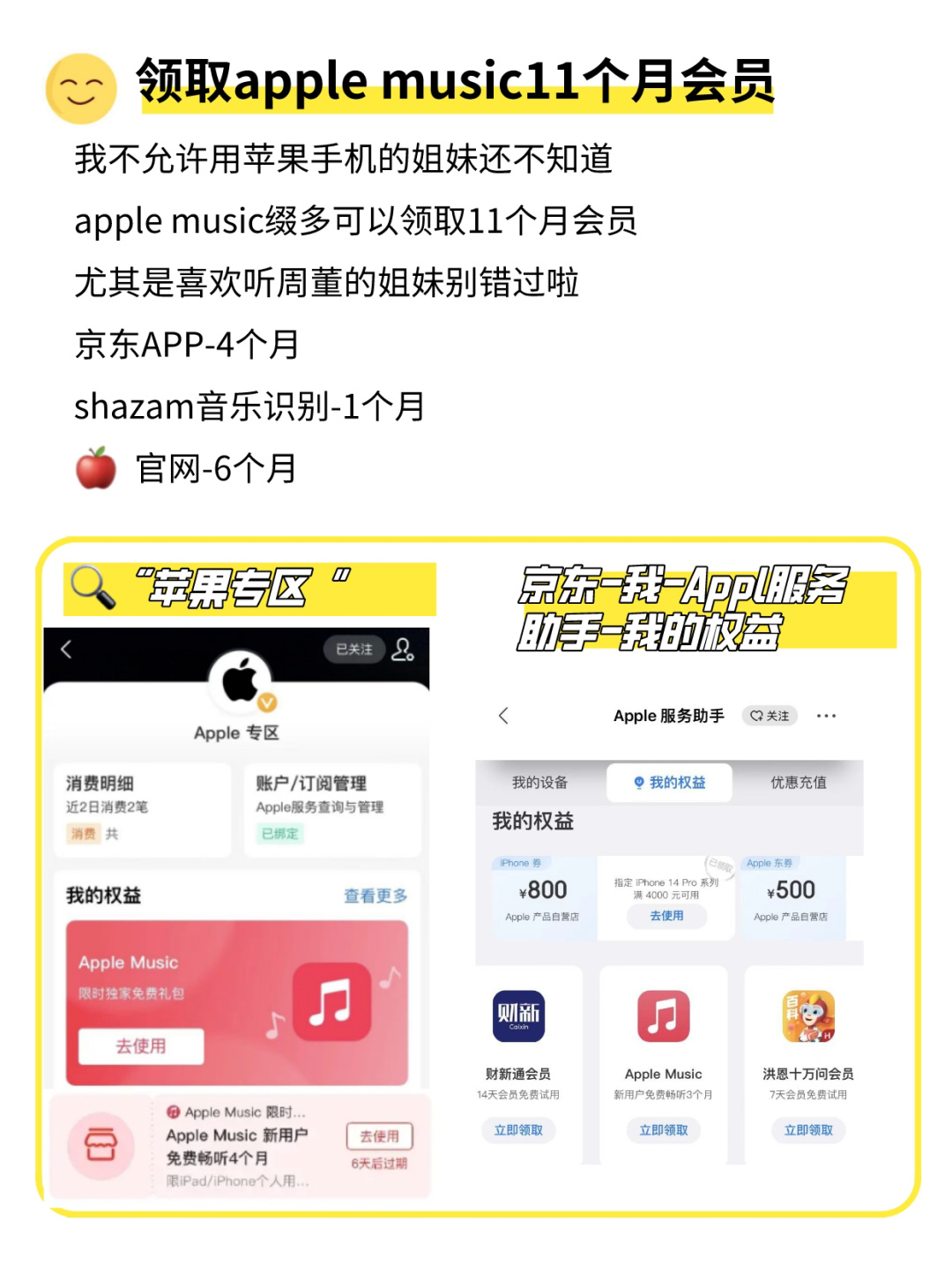苹果音乐在哪购买会员