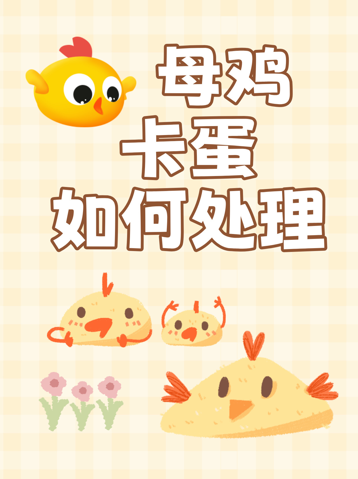母鸡卡蛋如何处理？