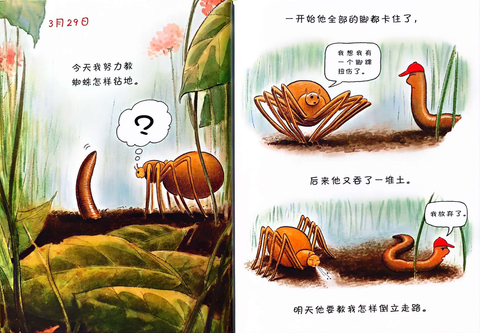 3到6岁绘本：《蚯蚓的日记》