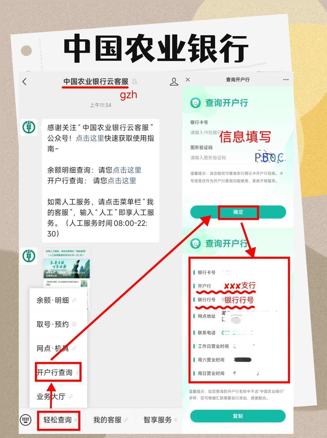 秒懂：如何查询一个支行的行号？