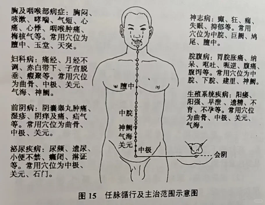 任脉对于女性尤其重要